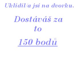 Úklid na dvorku.jpg