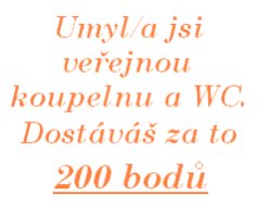 Umývání veřejné koupelny a WC.jpg