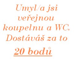 Umývání veřejné koupelny a WC  3.jpg