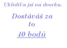 Úklid na dvorku 6.jpg