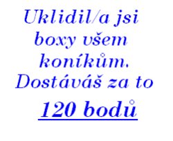 Úklid boxů všech koníků 8.jpg