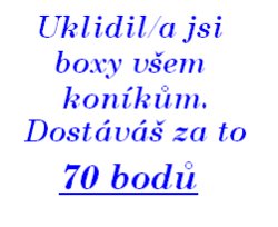 Úklid boxů všech koníků 7.jpg