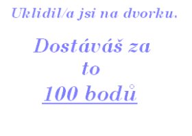 Úklid na dvorku 2.jpg